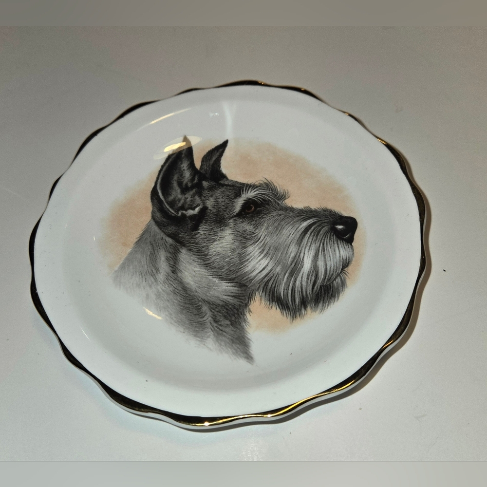 Vintage Heritage Regency Bone China Schnauzer Collector Plate Gold Trim England